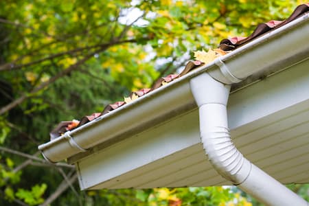 Top issues homeowners face with gutters