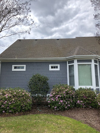 When should you schedule roof cleaning before algae causes permanent damage